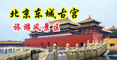 快操我啊啊啊爽好舒服啊啊啊爽视频中国北京-东城古宫旅游风景区